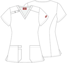 Halena RENEE, pes na skateboardu