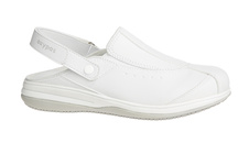 iris-wht
