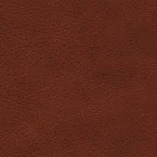 chestnut
